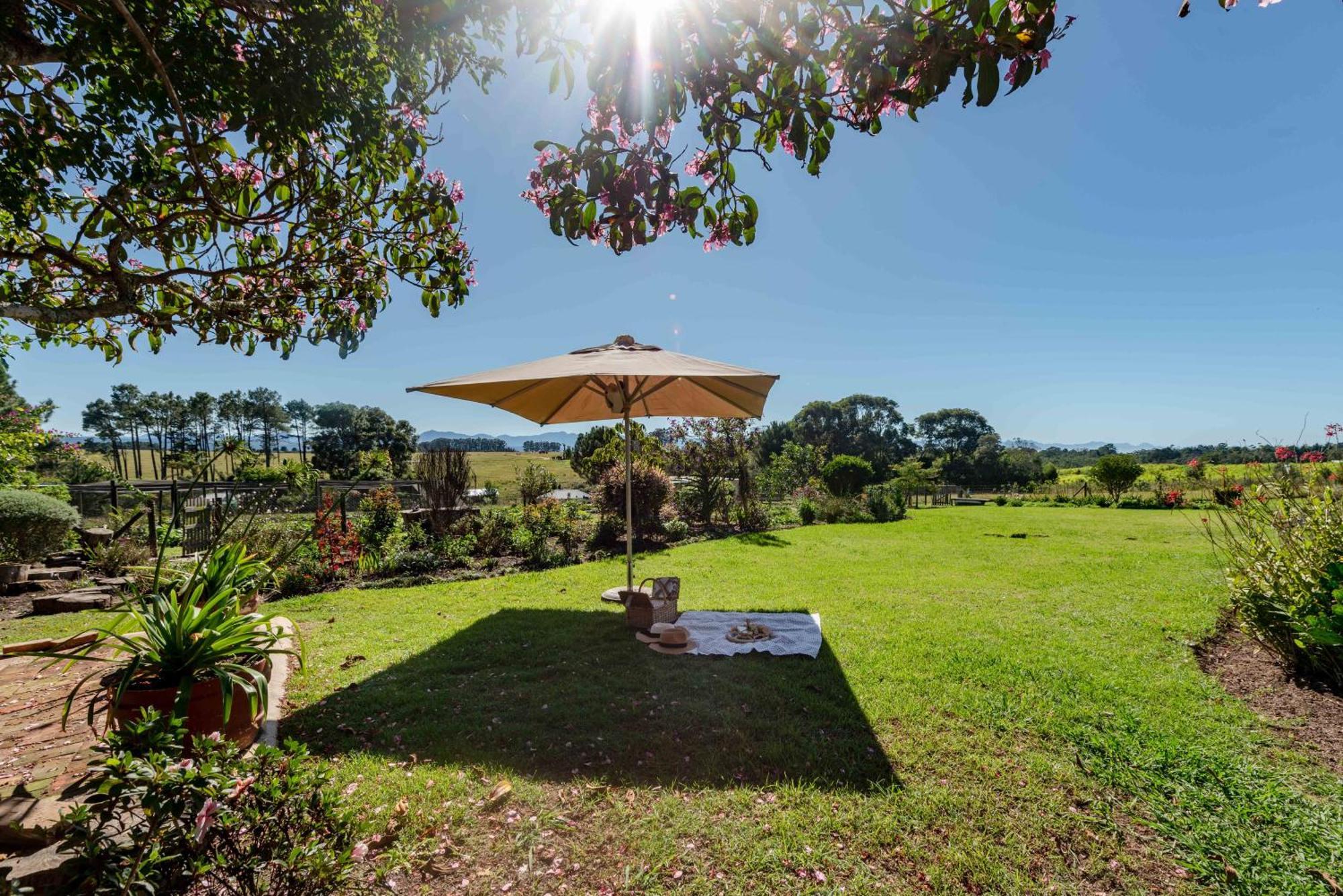 Elephant View Homestead Plettenberg Bay Exterior foto
